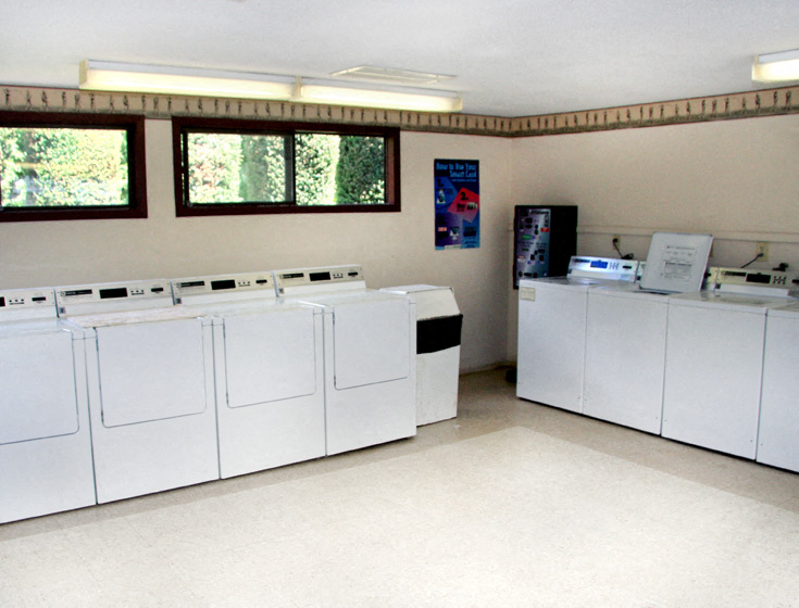 Gallery Photo 22